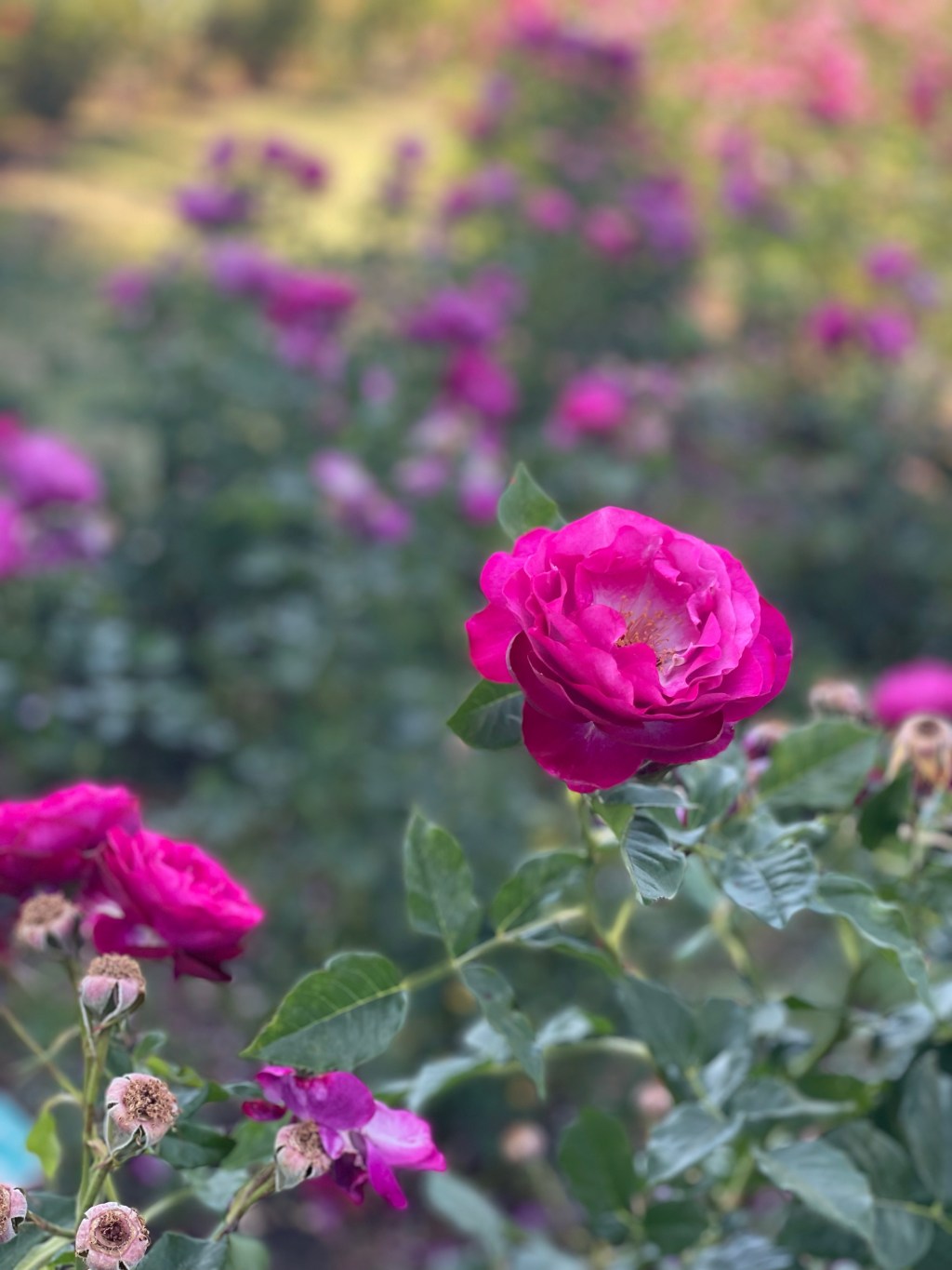 A Tribute to Mental&nbsp;Health